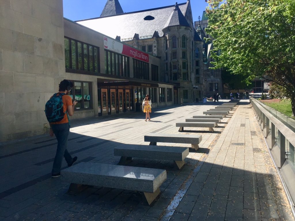 Six McGill Library activities to do with visitors in town for