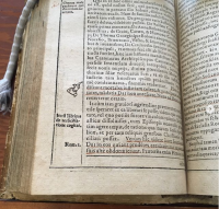 Image 1: Manuscript manicule from: Nicolai Sanderi, De origine ac progressv schismatis Anglicani, ... / aucti per Edovardum Rishtonum, Romæq[ue] impressi; nunc verò in Germania iterum locupletius & castigatiuùs editi ... . | Ingolstadii, : Ex officina typographic VVolfgangi Ederi., 1587. RBD MAIN OCTAVO-9579 https://www.instagram.com/p/BdtCMJIjnOd/