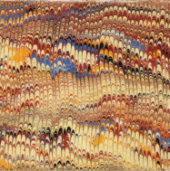 Marbled Wrapper, rotated 90 degrees from the original