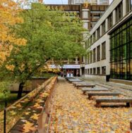 McLennan-Redpath Terrace covered in orange fallen leaves.