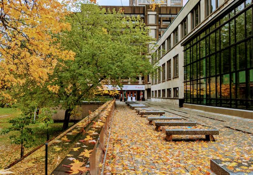 McLennan-Redpath Terrace covered in orange fallen leaves.