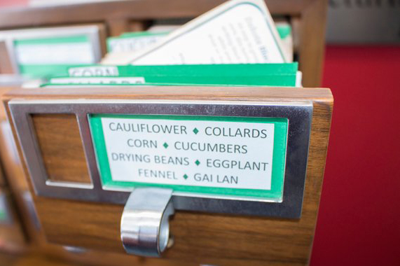 Close-up of card catalog filled with seeds for vegetables as part of the Mac Campus Seed Library.