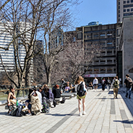 Students on the McLennan-Redpath Terrace in spring.