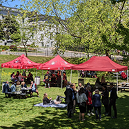 Staff BBQ on McGill campus seen from a distance with grass, trees, and red tents.
