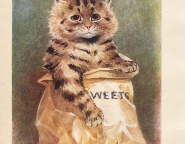 cat in a sweets bag
