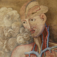 Detail from Bourdon's silk painting (ca. 1678) illustrating the neurovascular anatomy of the respiratory system.