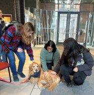 Students petting dog in Nahum Gelber Law Library